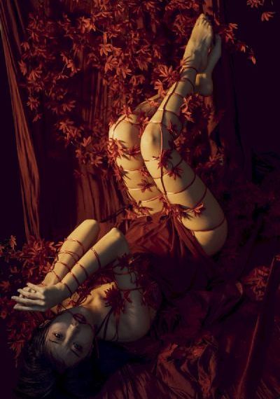 亚洲欧美v视色一区二区_蓝光手机免费观看完整